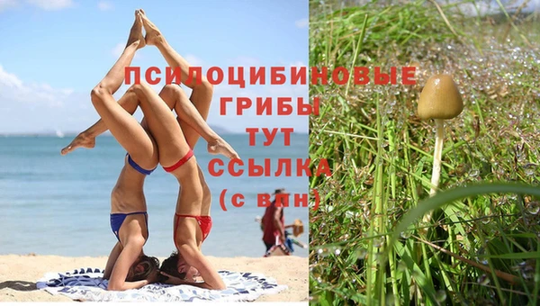 прущая мука Абинск